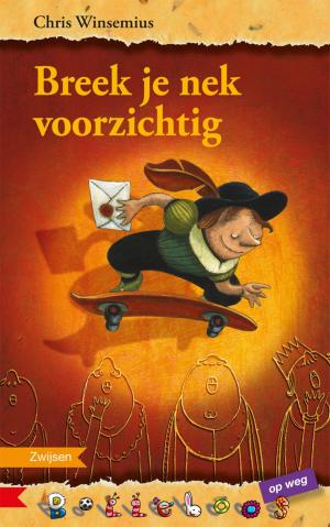 Cover of the book Breek je nek voorzichtig by Dirk Nielandt