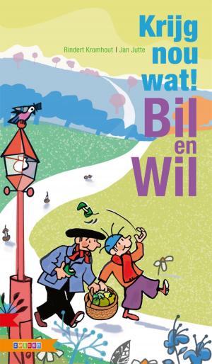 bigCover of the book Krijg nou wat! Bill en Wil by 