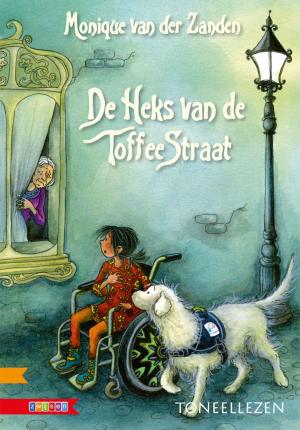 Cover of the book De heks van de Toffeestraat by Lydia Rood
