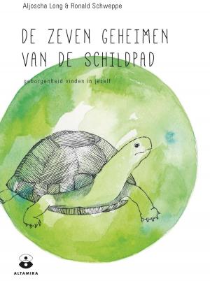 Book cover of De zeven geheimen van de schildpad