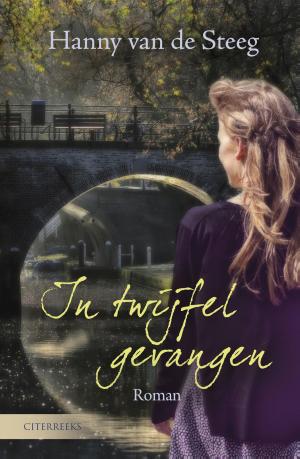 Cover of the book In twijfel gevangen by Petra March