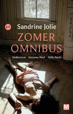 Cover of the book Undercover, Soixante neuf, Stille nacht by Gunnar Staalesen