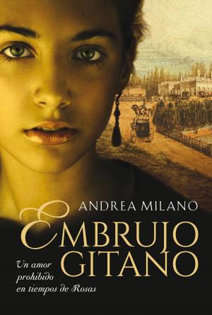 Cover of the book Embrujo gitano by Claudia Piñeiro