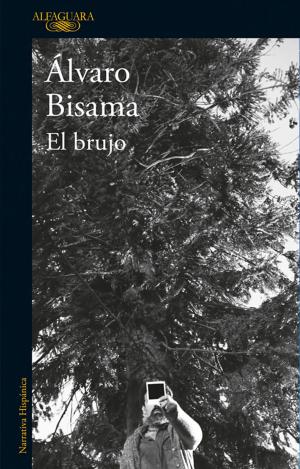 Cover of the book El brujo by Roberto Ampuero, MAURICIO ROJAS