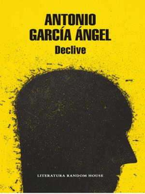 Cover of the book Declive by Annie Rehbein De Acevedo