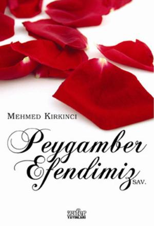 Book cover of Peygamber Efendimiz