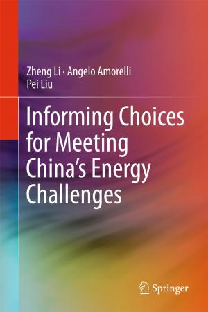 Book cover of Informing Choices for Meeting China’s Energy Challenges