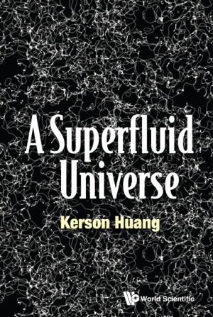 Cover of the book A Superfluid Universe by Richard L Amoroso
