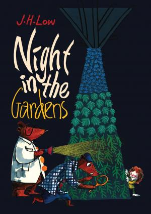 Cover of the book Night in the Gardens by Dr Daniel Fung, Ong Li Min