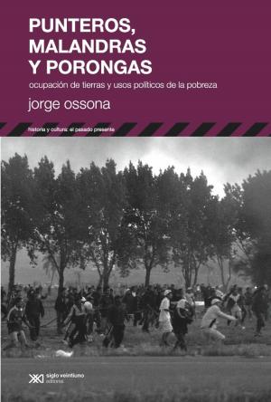 Book cover of Punteros, malandras y porongas: Ocupación de tierras y usos políticos de la pobreza