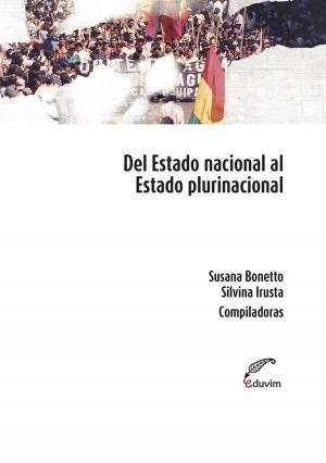 bigCover of the book Del estado nacional al estado plurinacional by 