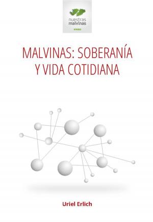 Cover of the book Malvinas: soberanía y vida cotidiana by Mónica Gordillo, Sebastián Malecki, Héctor Schmucler