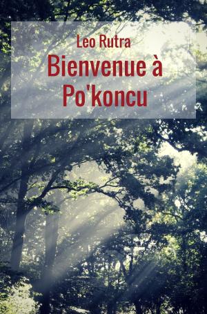Cover of the book Bienvenue à Po'koncu by Marie Meyer