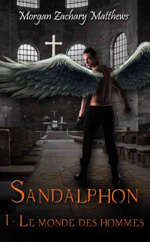 Book cover of Sandalphon Episode 1 Le monde des Hommes