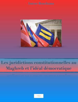 Cover of Les juridictions constitutionnelles au Maghreb