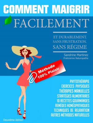 Cover of the book Comment Maigrir facilement durablement. Méthode 100% Plaisir. Sans frustration. Sans régime by Jordan Metzl, Mike Zimmerman
