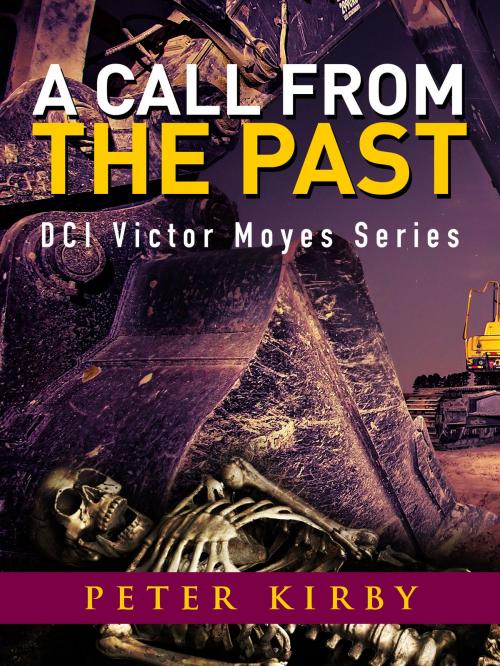 Cover of the book A Call From The Past by Peter Kirby, Paul Kirby
