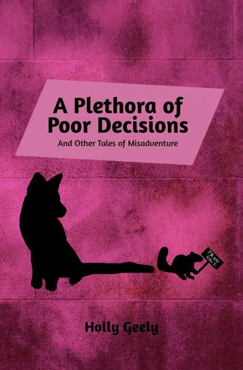 Cover of the book A Plethora of Poor Decisions by Holly Geely, Holly Geely