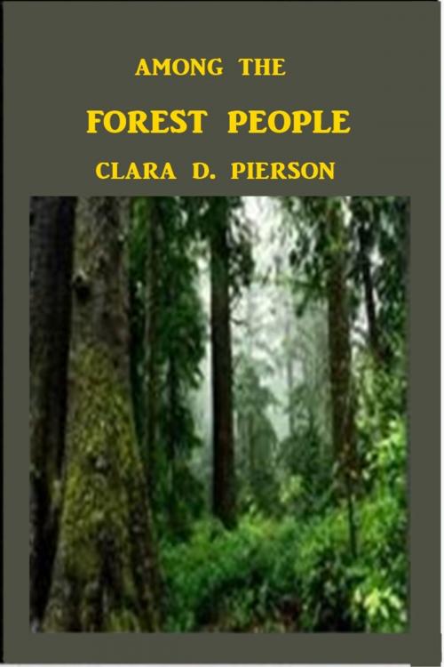 Cover of the book Among the Forest People by Clara Dillingham Pierson, Green Bird Press