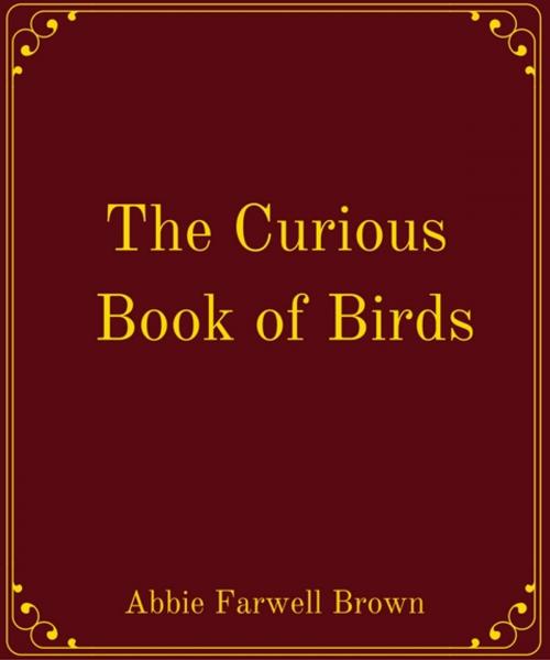 Cover of the book The Curious Book of Birds by Abbie Farwell Brown, Star Lamp