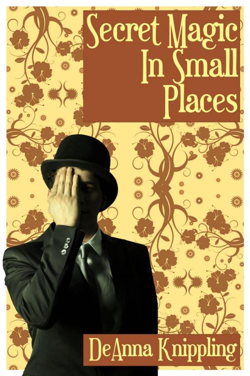 Cover of the book Secret Magic in Small Places by DeAnna Knippling, Wonderland Press