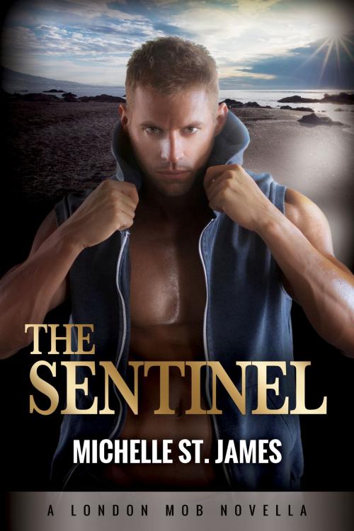 Cover of the book The Sentinel by Michelle St. James, Blackthorn Press
