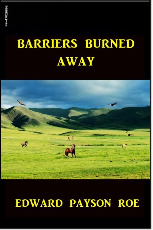 Cover of the book Barriers Burned Away by Edward P. Roe, Green Bird Press
