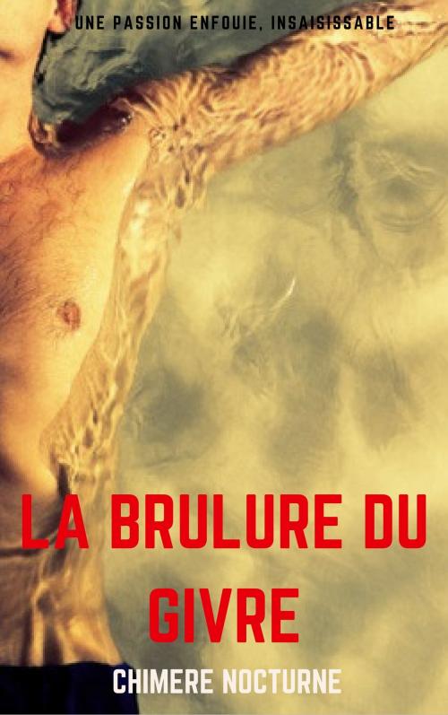Cover of the book La Brûlure du givre by chimère nocturne, chimère nocturne