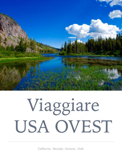 Cover of the book Viaggiare USA OVEST by Giulio Mollica, Giulio Mollica