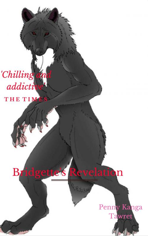 Cover of the book Bridgette's Revelation by Penny Kanga, PennyKanga Publishing