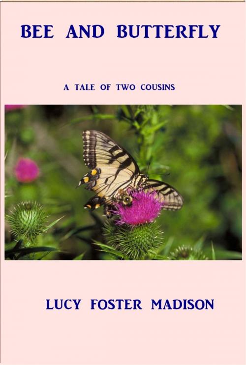 Cover of the book Bee and Butterfly by Lucy Foster Madison, Green Bird Press