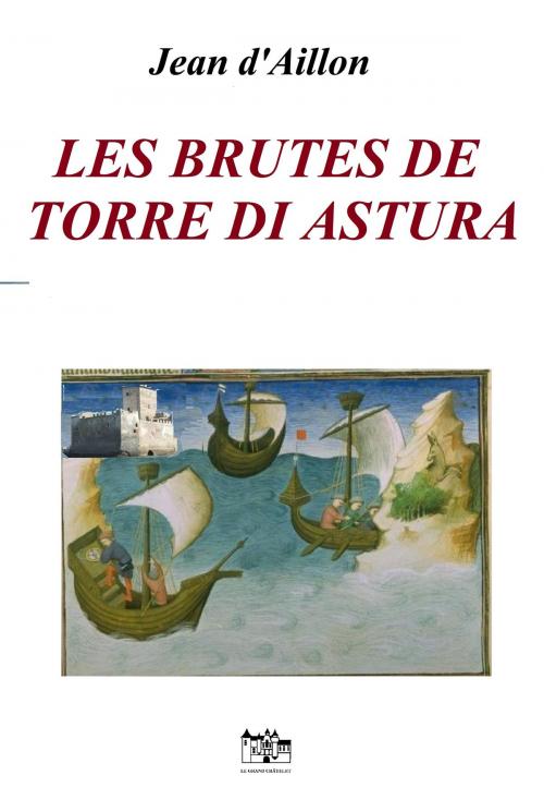 Cover of the book LES BRUTES DE TORRE DI ASTURA by Jean d'Aillon, Le Grand-Chatelet