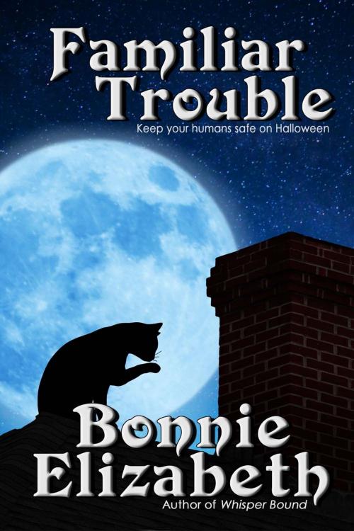 Cover of the book Familiar Trouble by Bonnie Elizabeth, My Big Fat Orange Cat Publishing