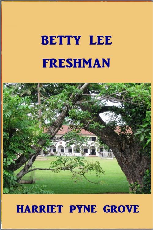 Cover of the book Betty Lee, Freshman by Harriet Pyne Grove, Green Bird Press