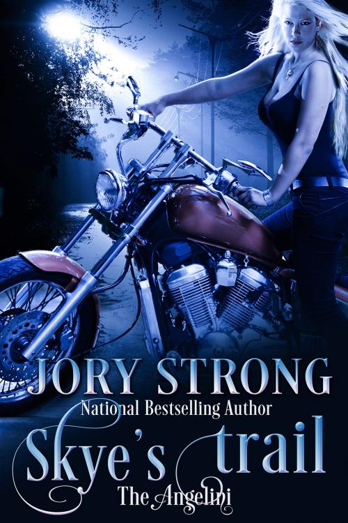 Cover of the book Skye's Trail by Jory Strong, Jory Strong