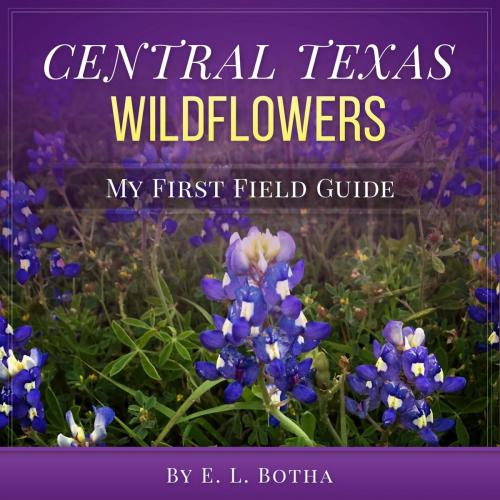 Cover of the book Central Texas Wildflowers by E. L. Botha, E. L. Botha