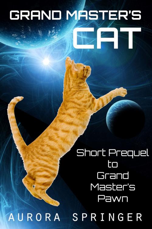 Cover of the book Grand Master's Cat by Aurora Springer, Aurora Springer Novels