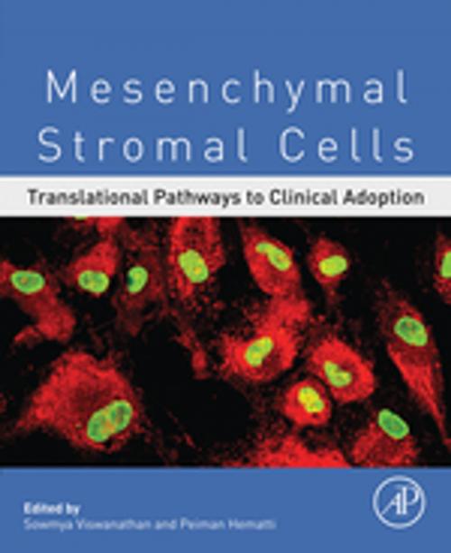 Cover of the book Mesenchymal Stromal Cells by , Elsevier Science