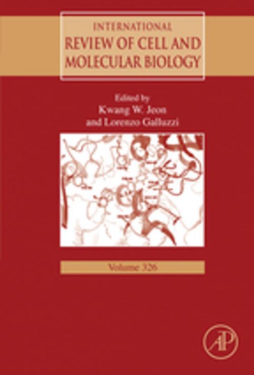 Cover of the book International Review of Cell and Molecular Biology by Lorenzo Galluzzi, Kwang W. Jeon, Elsevier Science