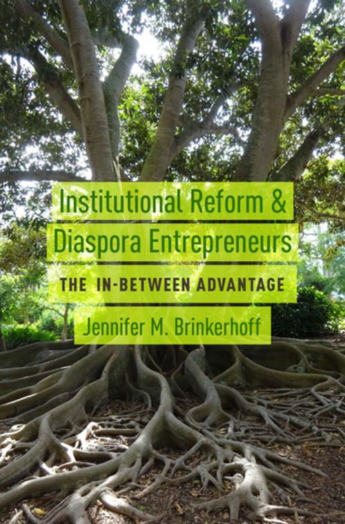 Cover of the book Institutional Reform and Diaspora Entrepreneurs by Jennifer M. Brinkerhoff, Oxford University Press