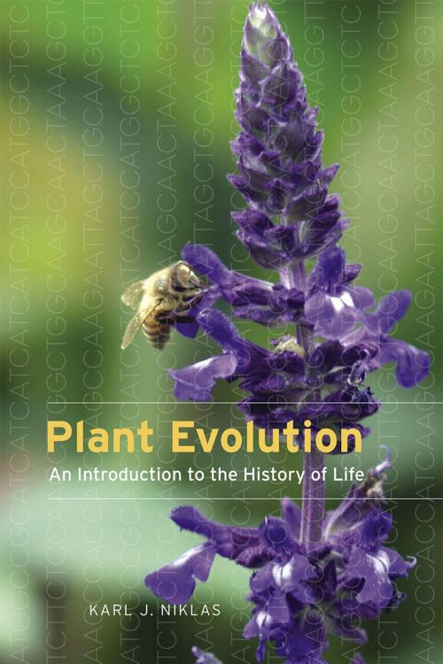 Cover of the book Plant Evolution by Karl J. Niklas, University of Chicago Press