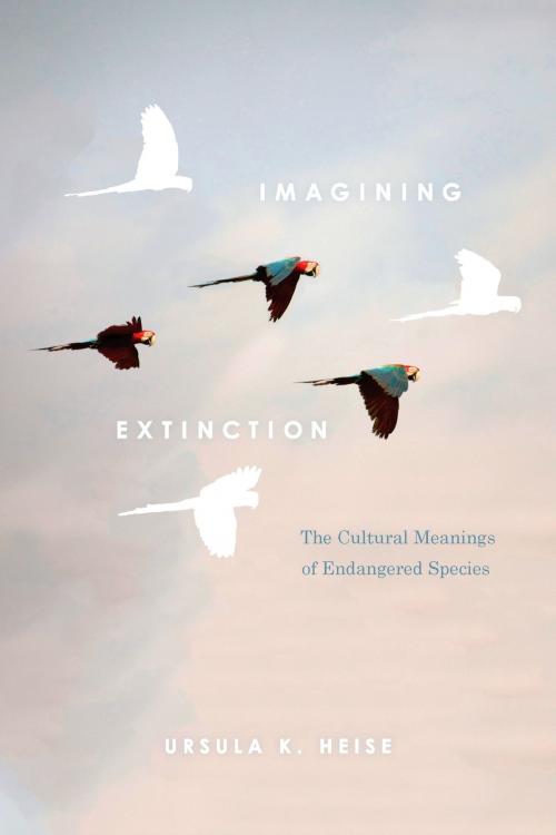 Cover of the book Imagining Extinction by Ursula K. Heise, University of Chicago Press