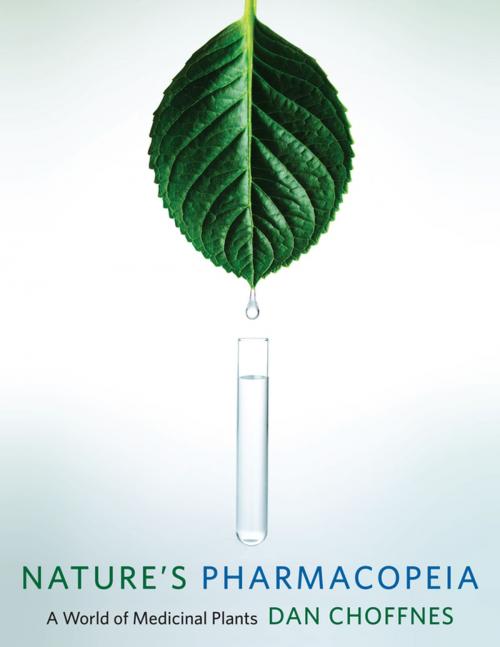 Cover of the book Nature's Pharmacopeia by Dan Choffnes, Columbia University Press