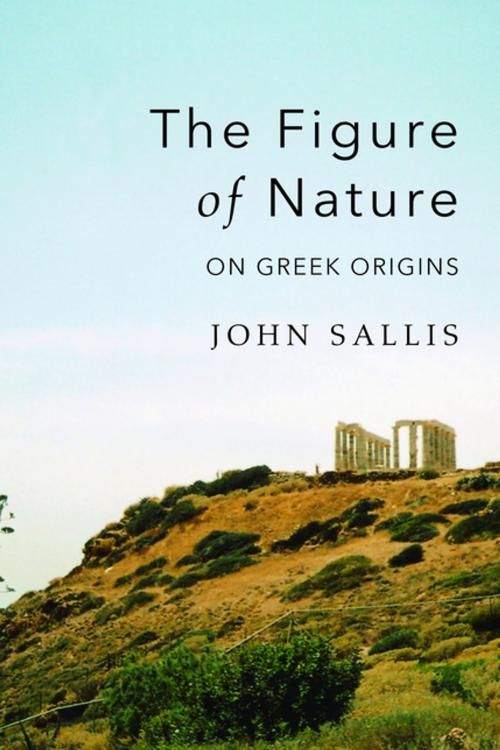 Cover of the book The Figure of Nature by John Sallis, Indiana University Press
