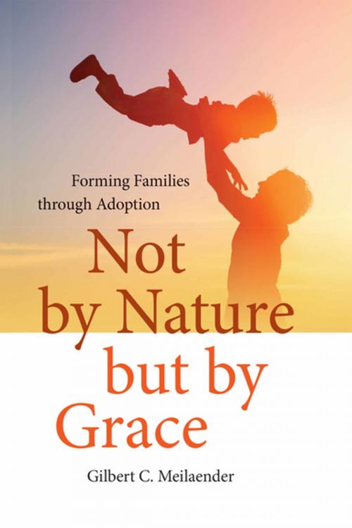 Cover of the book Not by Nature but by Grace by Gilbert C. Meilaender, University of Notre Dame Press