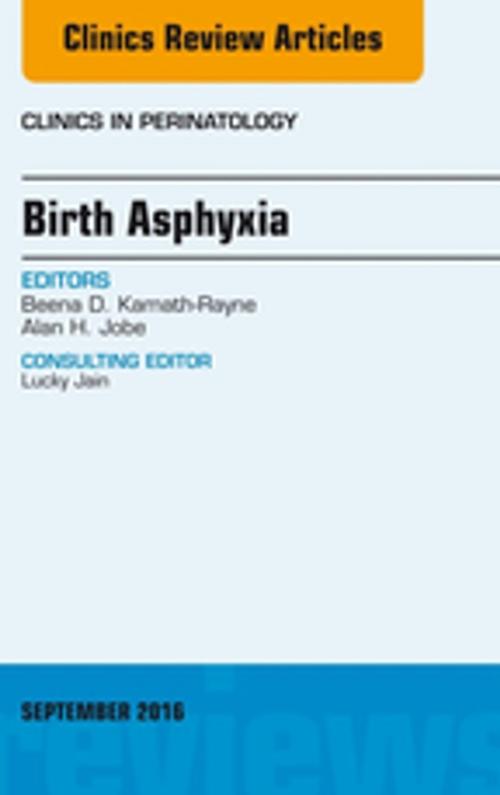 Cover of the book Birth Asphyxia, An Issue of Clinics in Perinatology, E-Book by Beena D. Kamath-Rayne, MD, MPH, Alan H. Jobe, MD, PhD, Elsevier Health Sciences