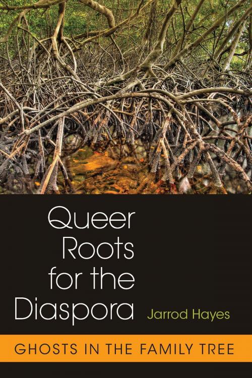 Cover of the book Queer Roots for the Diaspora by Jarrod Hayes, University of Michigan Press