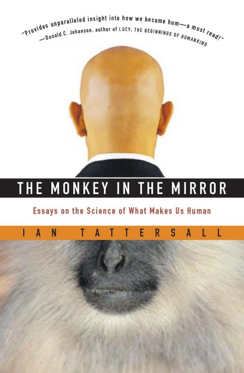 Cover of the book The Monkey in the Mirror by Ian Tattersall, HMH Books