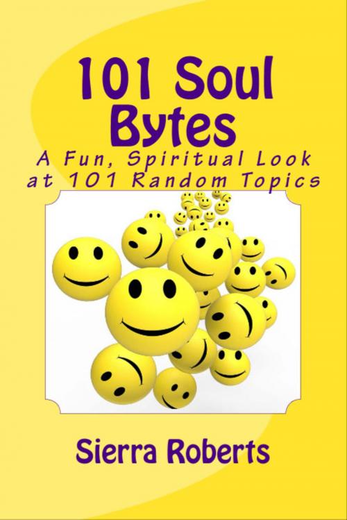 Cover of the book 101 Soul Bytes: A Fun Spiritual Look at 101 Random Topics by Sierra Roberts, SynergEbooks
