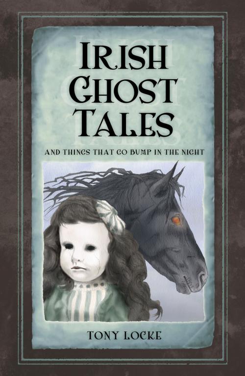 Cover of the book Irish Ghost Tales by Tony Locke, The History Press